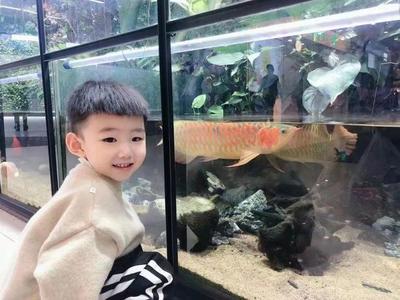 哈市香坊区图书馆开启"阅读伴成长"儿童诵读展演
