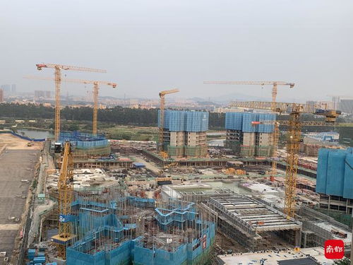 扛行李住工厂，搬电脑拷资料 直击东莞人迎战奥密克戎